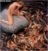 Pix place is an online service that is included with each activation of picture/video messaging